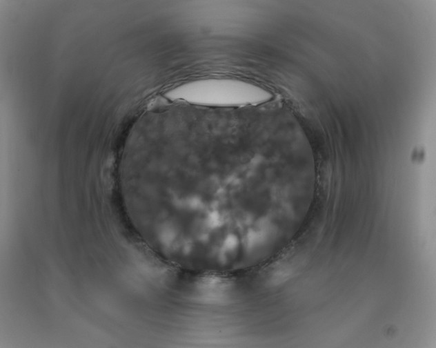 X0000092010319200709201536