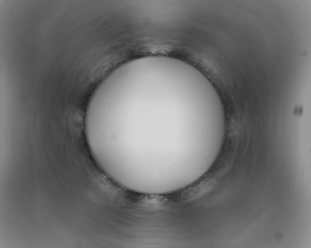 X0000092010321200709201536