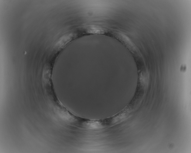 X0000092010322200709201536