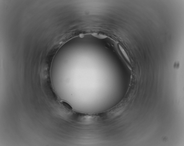 X0000092010323200709201536