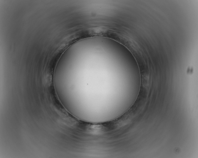 X0000092010324200709201536