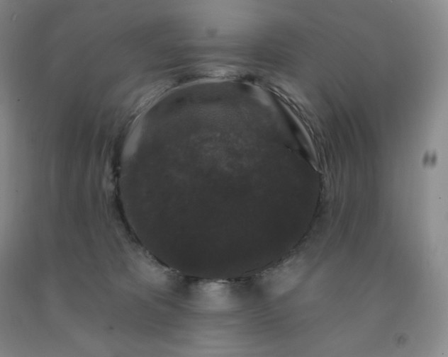 X0000092010325200709201536
