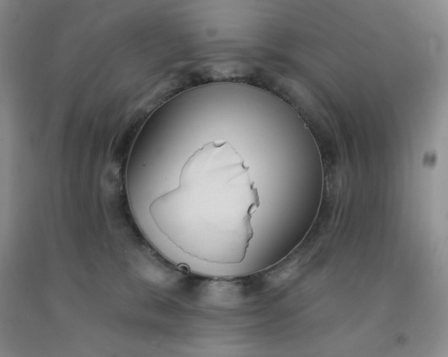 X0000092010327200709201536