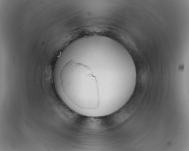 X0000092010328200709201536