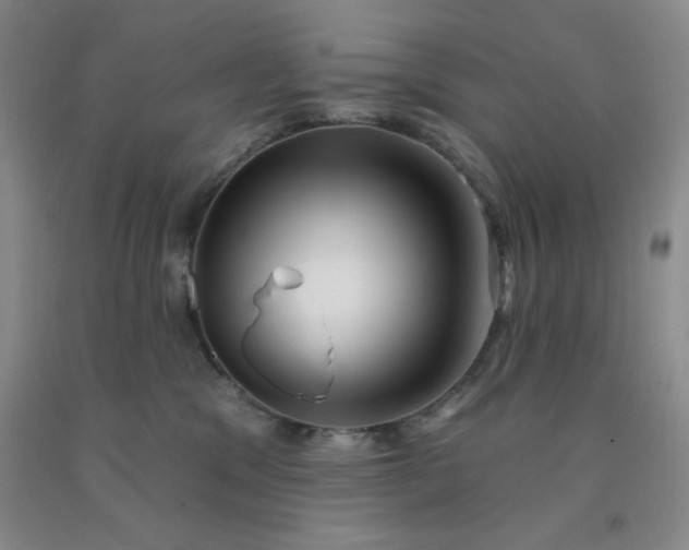 X0000092010329200709201536