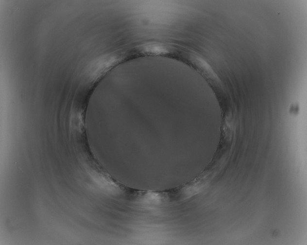 X0000092010330200709201536