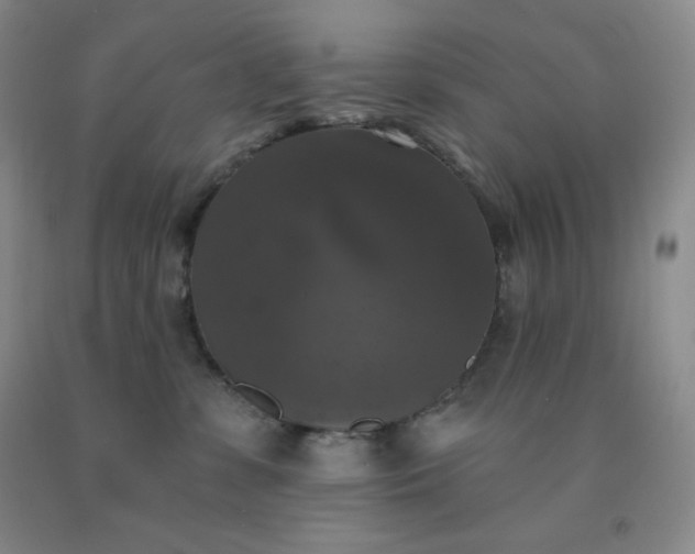 X0000092010331200709201536