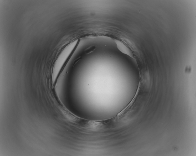 X0000092010333200709201536