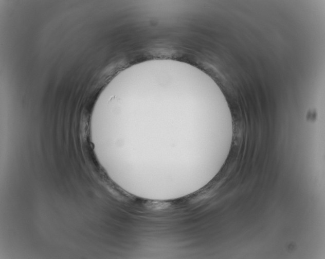 X0000092010334200709201536