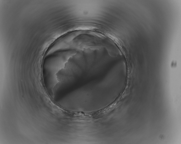 X0000092010337200709201535