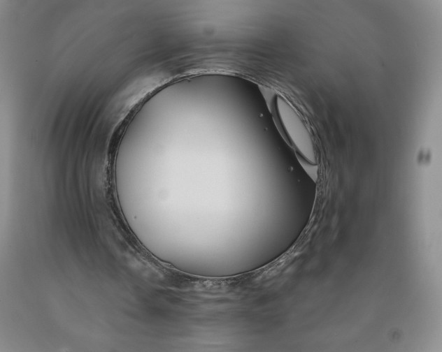 X0000092010338200709201535