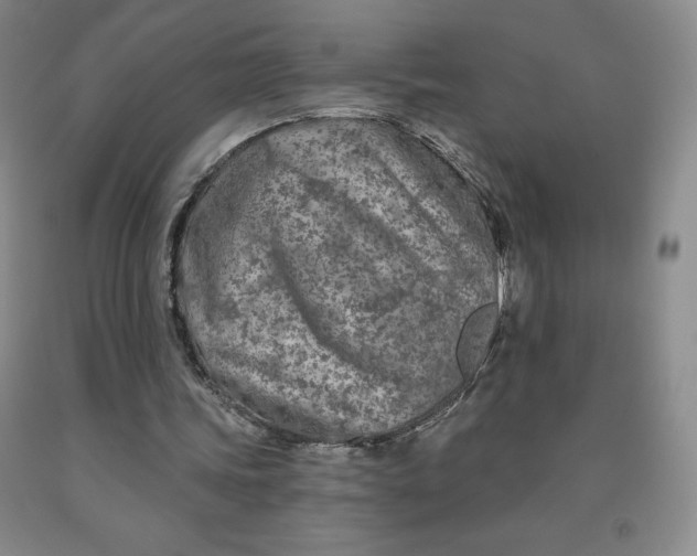X0000092010339200709201535