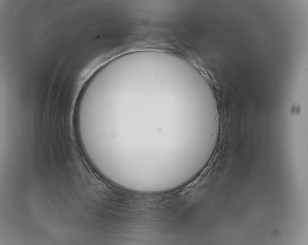 X0000092010340200709201535