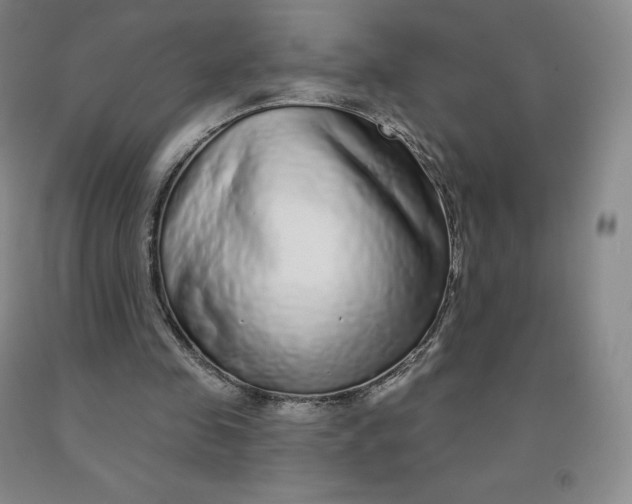 X0000092010341200709201535
