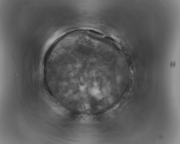 X0000092010343200709201535