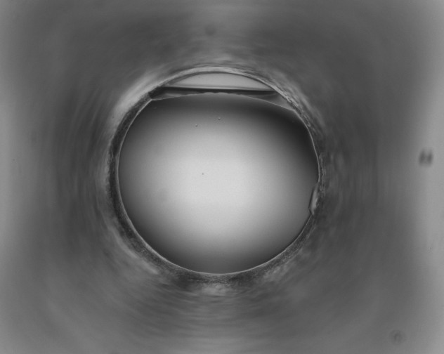 X0000092010344200709201535