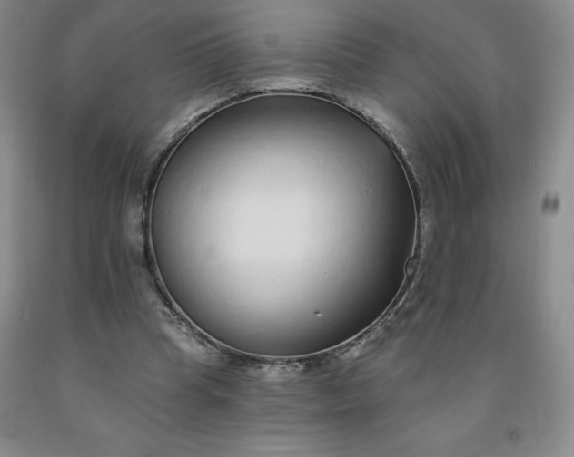 X0000092010345200709201535