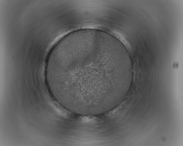 X0000092010346200709201535