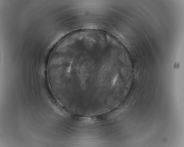 X0000092010347200709201535