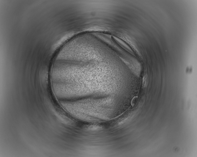 X0000092010348200709201535