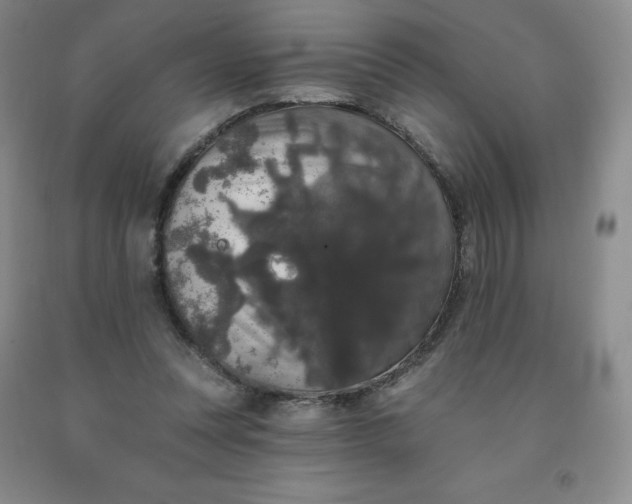 X0000092010351200709201535