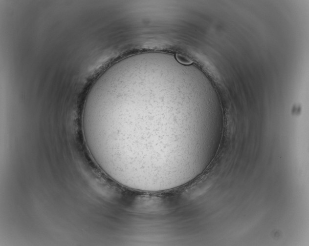 X0000092010354200709201535