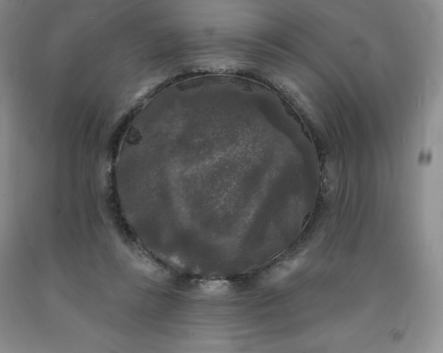 X0000092010355200709201535
