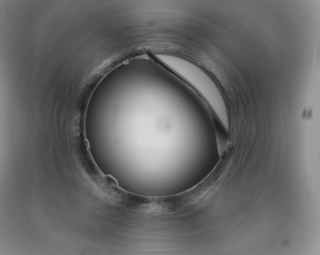 X0000092010356200709201535
