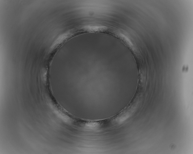 X0000092010357200709201535