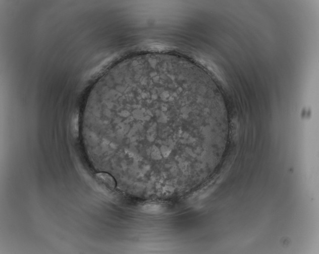 X0000092010358200709201535