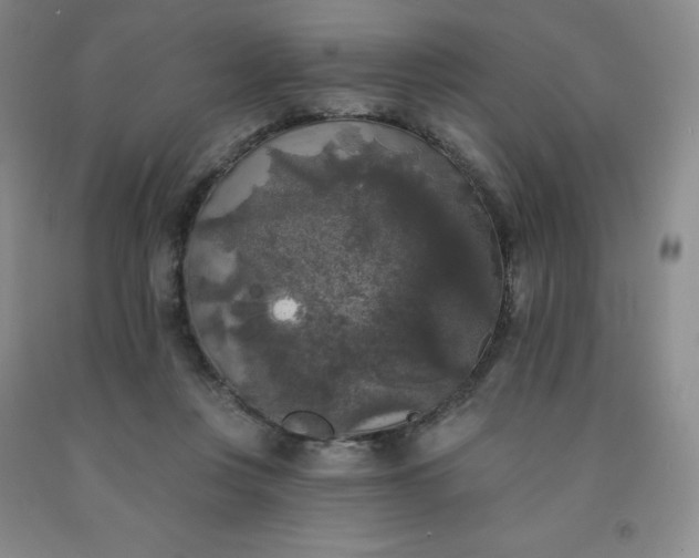X0000092010359200709201535