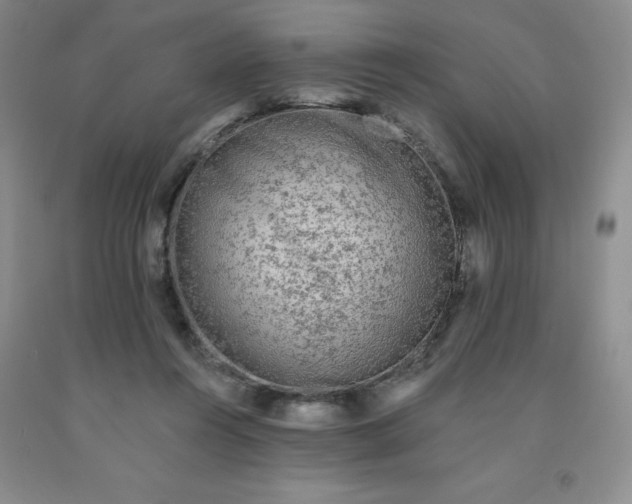 X0000092010360200709201535