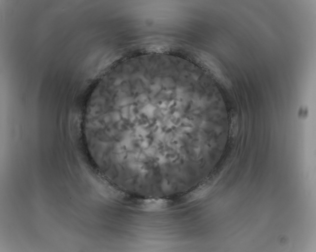 X0000092010363200709201535