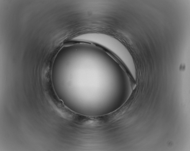 X0000092010364200709201535