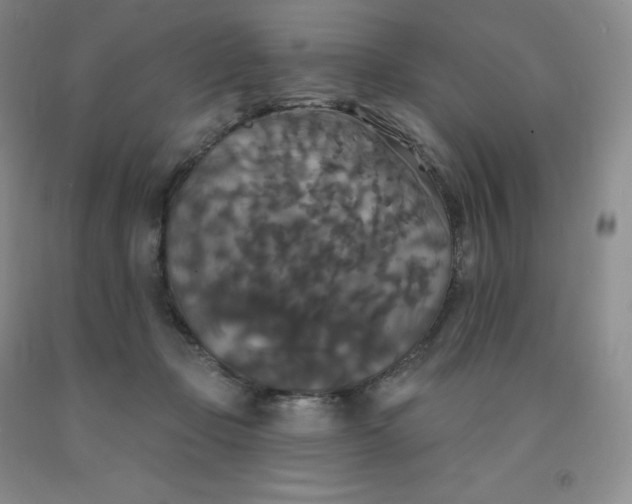X0000092010365200709201535