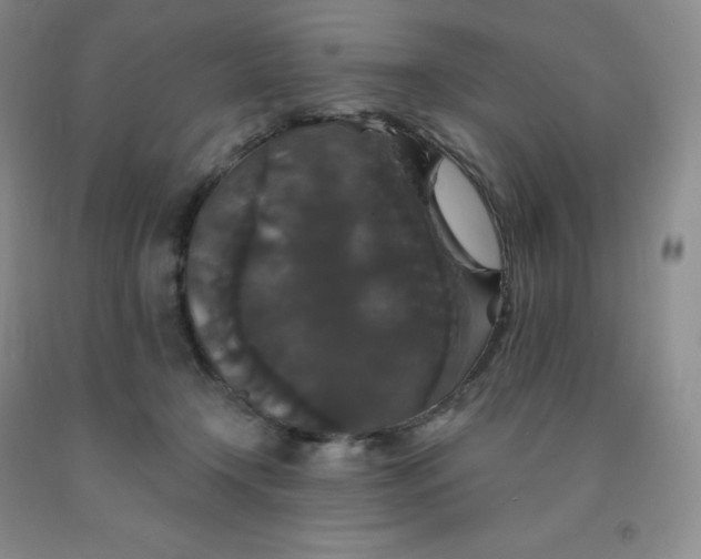 X0000092010366200709201535