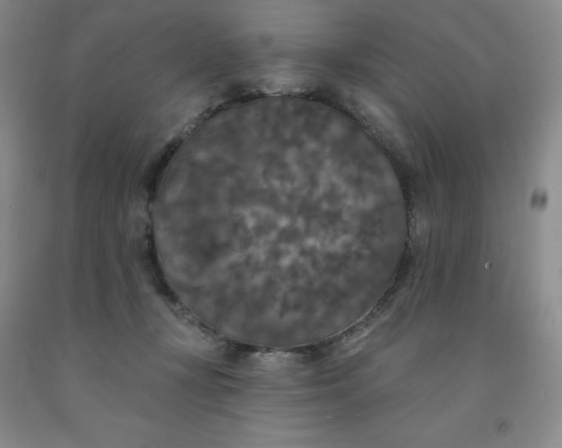 X0000092010367200709201535