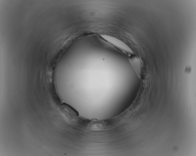 X0000092010368200709201535