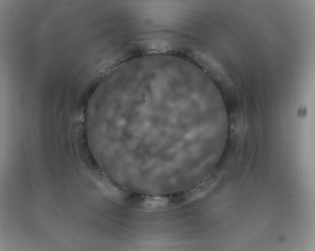 X0000092010369200709201535