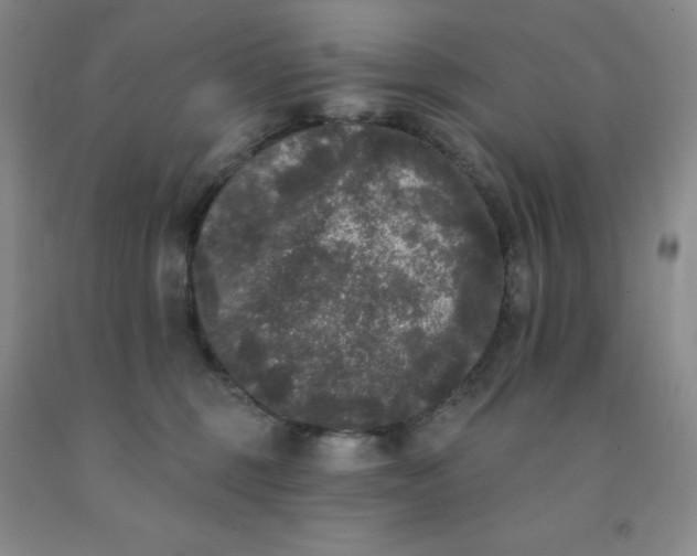X0000092010375200709201535