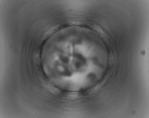 X0000092010377200709201535