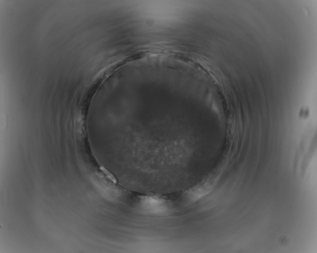 X0000092010380200709201535