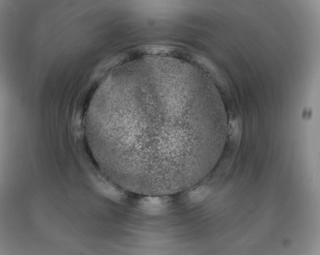 X0000092010381200709201535