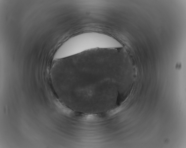 X0000092010382200709201535