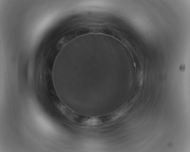 X0000092010383200709201535