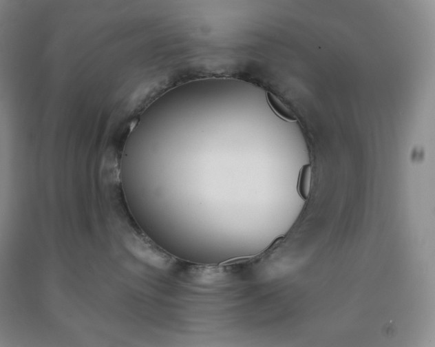 X0000092010384200709201535