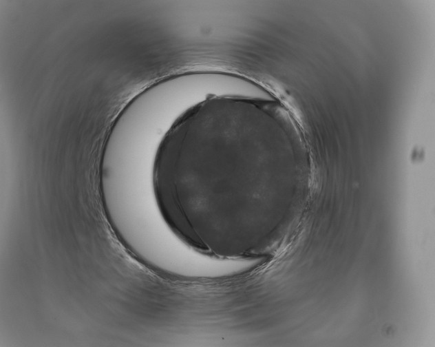 X0000092010385200709201535