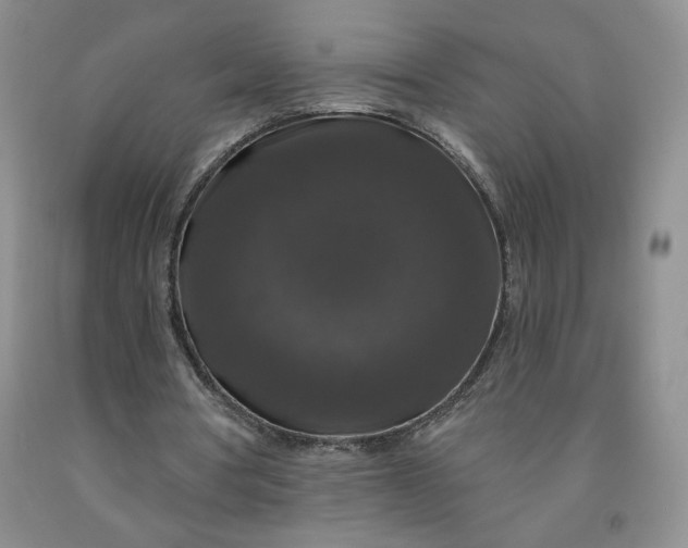 X0000092010386200709201535