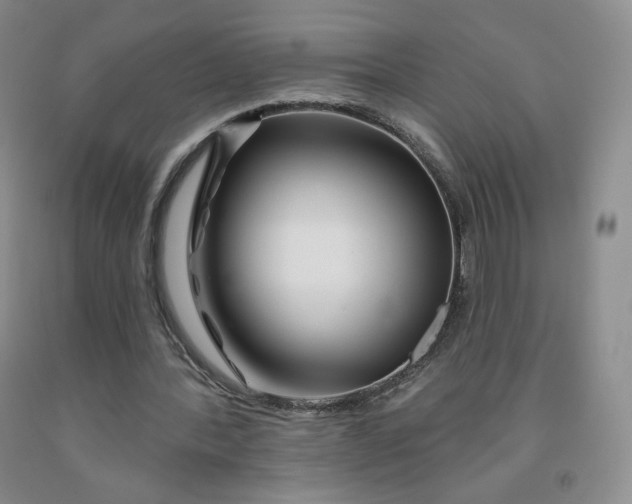 X0000092010388200709201535