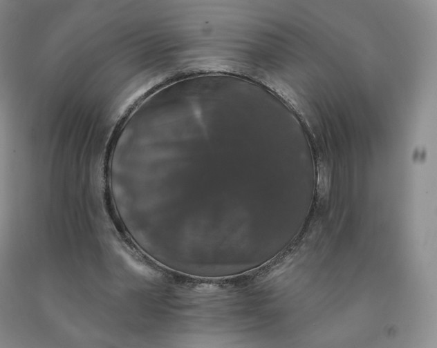 X0000092010390200709201535